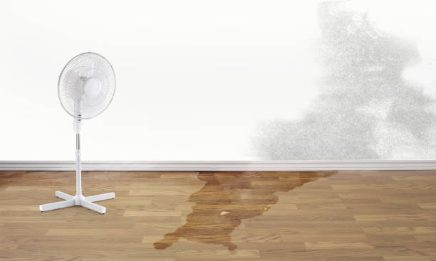 Best Water damage restoration near me  in Stonewall, LA