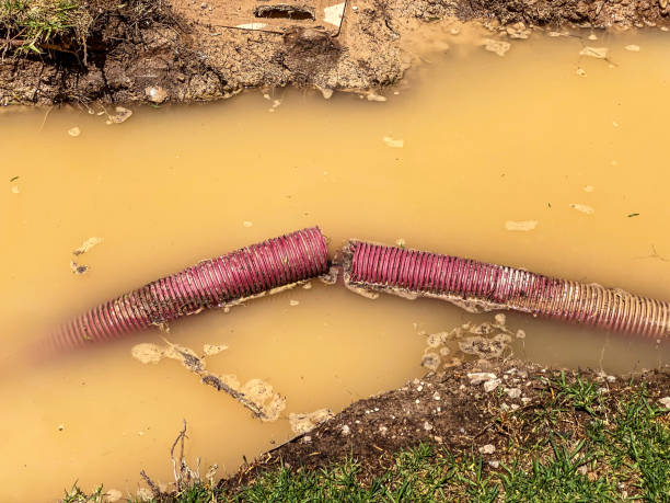 Professional Water damage restoration in Stonewall, LA